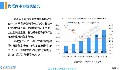 2018年中國物聯(lián)網(wǎng)產(chǎn)業(yè)前景研究報(bào)告